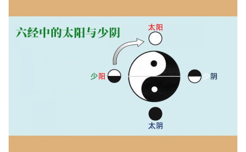 中醫(yī)基礎—六經中的太陽與少陰含義！