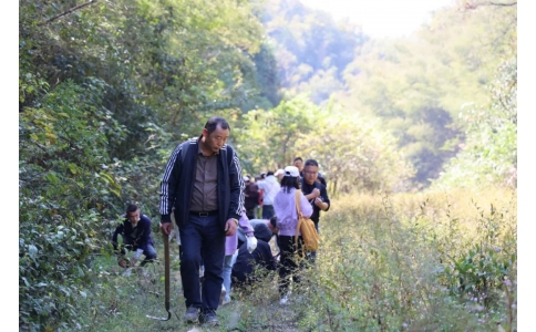 踏秋尋寶，聞香識(shí)藥！首屆神農(nóng)杯野外識(shí)藥大賽在株洲鳳凰山景區(qū)成功舉辦！