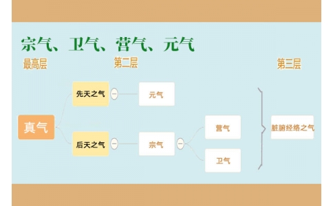 中醫(yī)里的“宗氣”、“衛(wèi)氣”、“營氣”、“元氣”